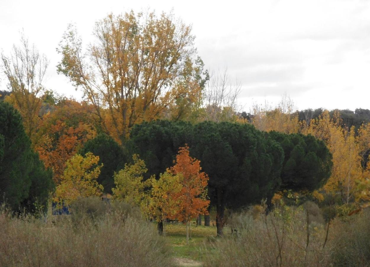 Apartamentos "Casa Rural De Aldea" Aldea del Fresno Kültér fotó